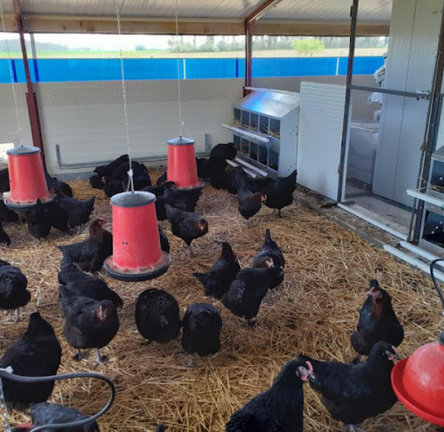 vente de rillettes et terrines de poules à Garchy près de Charité-sur-loire dans la Nièvre 58