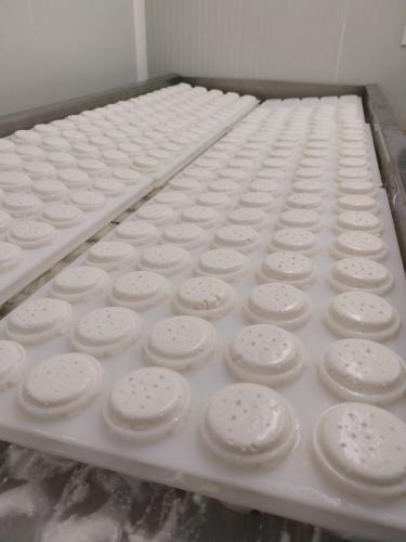 Notre production de fromages